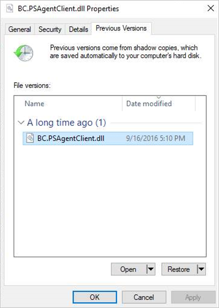 Captura de pantalla que muestra las propiedades versiones anteriores.