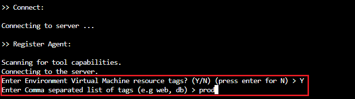 Captura de pantalla que muestra la configuración de etiquetas de máquina virtual en el script interactivo.
