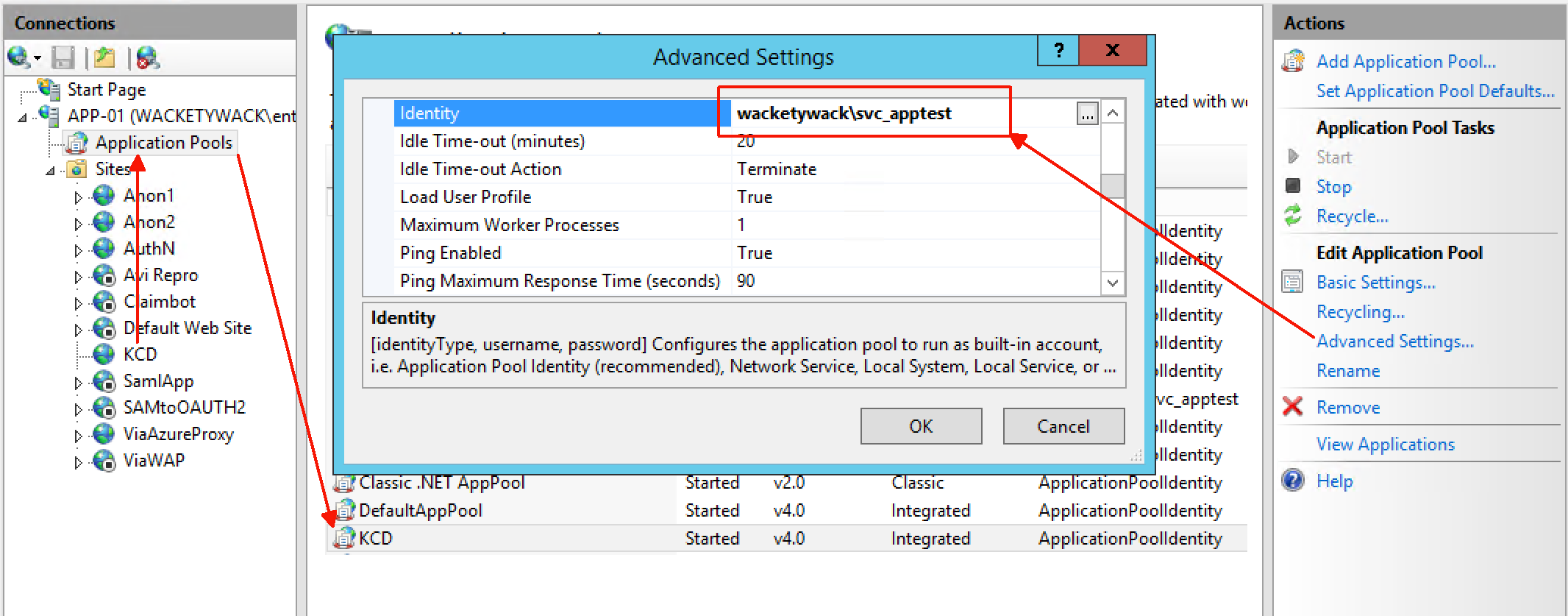 Captura de pantalla que muestra un cuadro de diálogo de configuración de la aplicación IIS.
