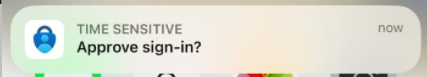Captura de pantalla que muestra la solicitud de aprobación del teléfono.