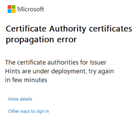 Captura de pantalla que muestra el error que los usuarios ven si las actualizaciones están en curso.