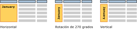 rs_TextBoxOrientation