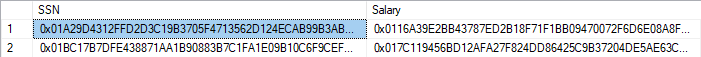 Captura de pantalla de los resultados de texto cifrado de columnas cifradas.