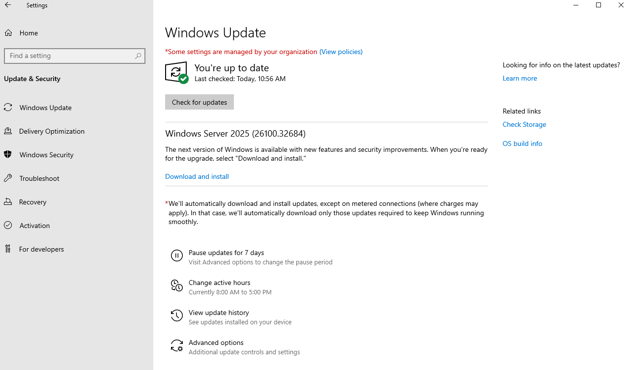 Captura de pantalla de la página de configuración de Windows Update que muestra la versión de características de Windows Server 2025 disponible con un enlace para descargar e instalar.