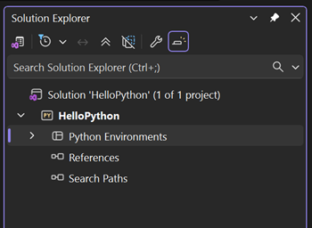 显示 Visual Studio 解决方案资源管理器中默认环境的屏幕截图。