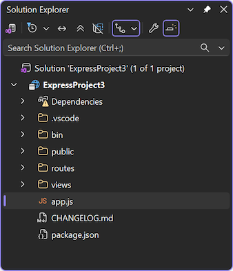 在 Visual Studio 的解决方案资源管理器中打开的新项目的屏幕截图。